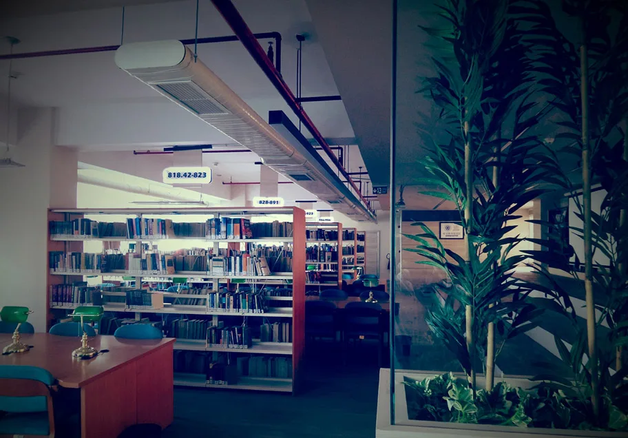 جامعة إسطنبول آيدن
