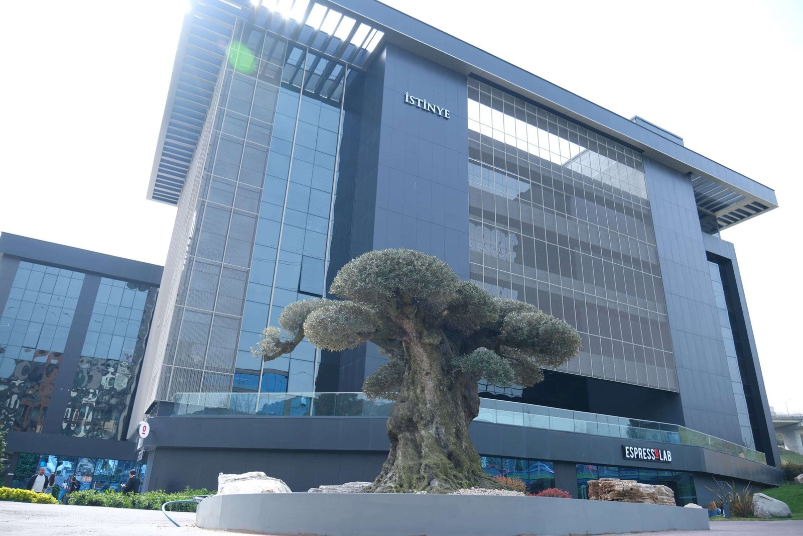 جامعة إستينيا إسطنبول