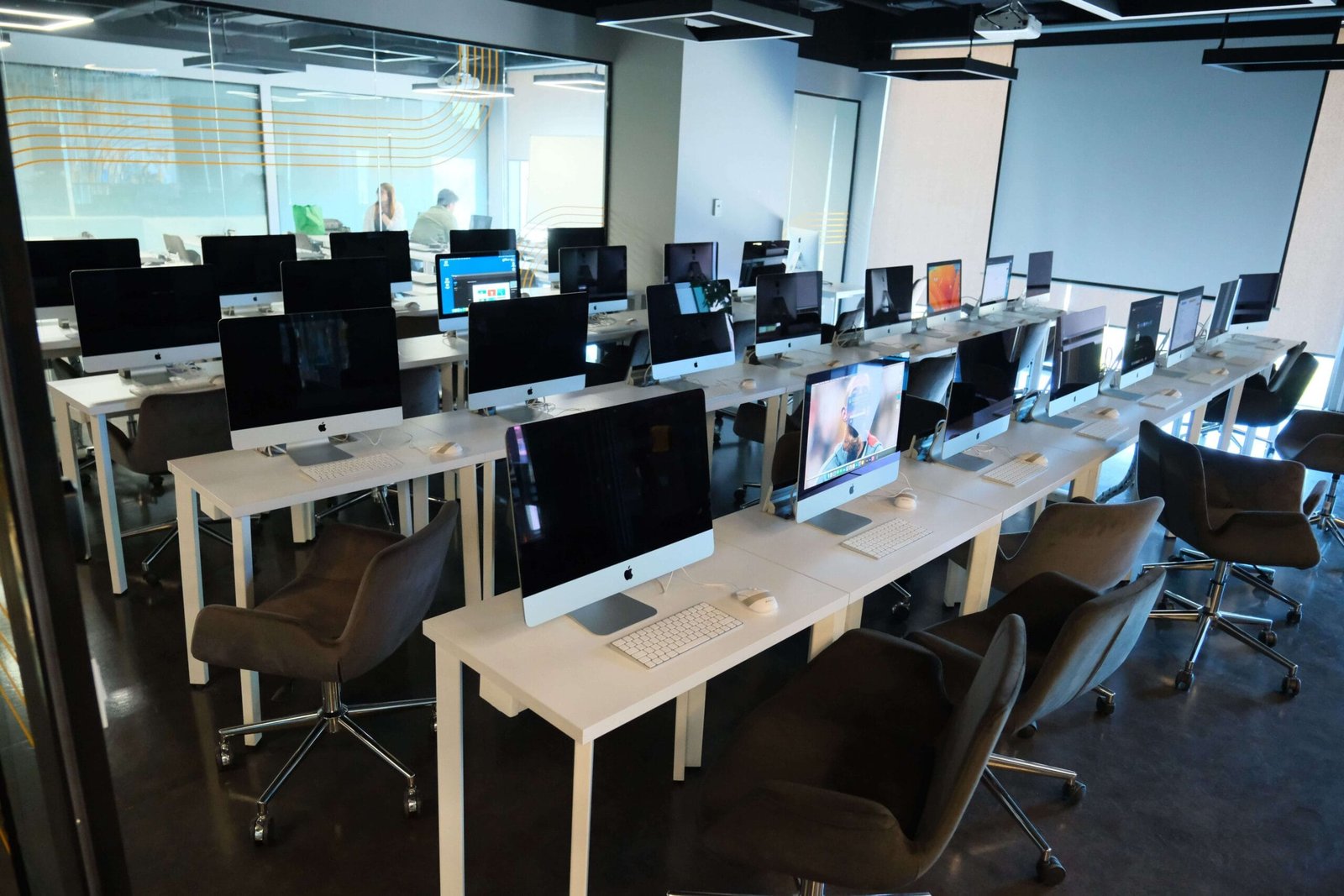 جامعة إستينيا إسطنبول