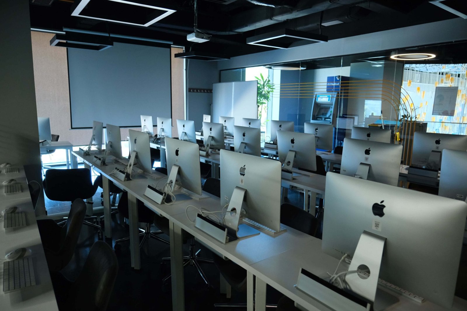 جامعة إستينيا إسطنبول